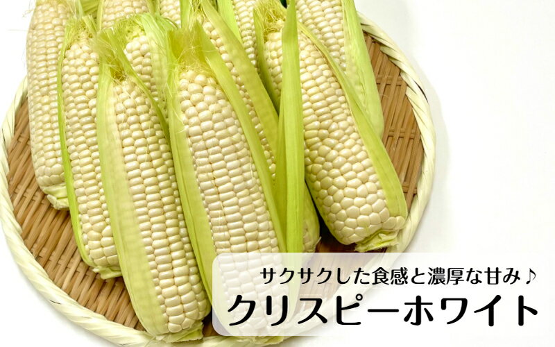 【ふるさと納税】【令和6年6月から発送】 白とうもろこし10本と季節のユニーク野菜5品詰合せ