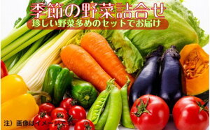 【ふるさと納税】上田さんちの季節の珍野菜詰合せ