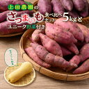 【ふるさと納税】【10月下旬~翌年1月中旬発送】上田農園のさつまいも食べ比べセット5kgとユニーク野菜付き 安納芋 紫いも 焼いも スイートポテト 送料無料