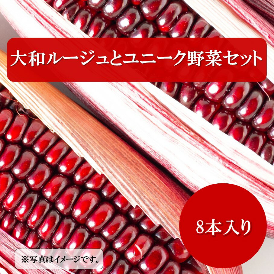 【ふるさと納税】【令和7年7月~8月発送】上田農園の赤とうもろこし(大和ルージュ)とユニーク野菜