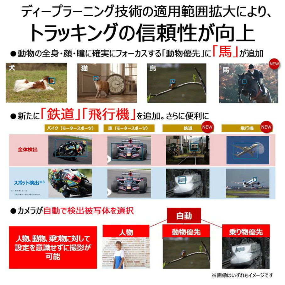 【ふるさと納税】【追加レンズセット】 キヤノン ミラーレス カメラ EOS R6 Mark II レンズキット & 望遠レンズ 正規品 高画質 コンパクト 軽量 Canon キャノン 送料無料 一眼 家電