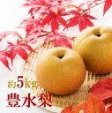 【ふるさと納税】【先行予約/数量限定】梨 豊水 ほうすい 5kg 令和7年 9月 旬 秋の味覚 フルーツ 果物 なし ナシ 予約 数量限定