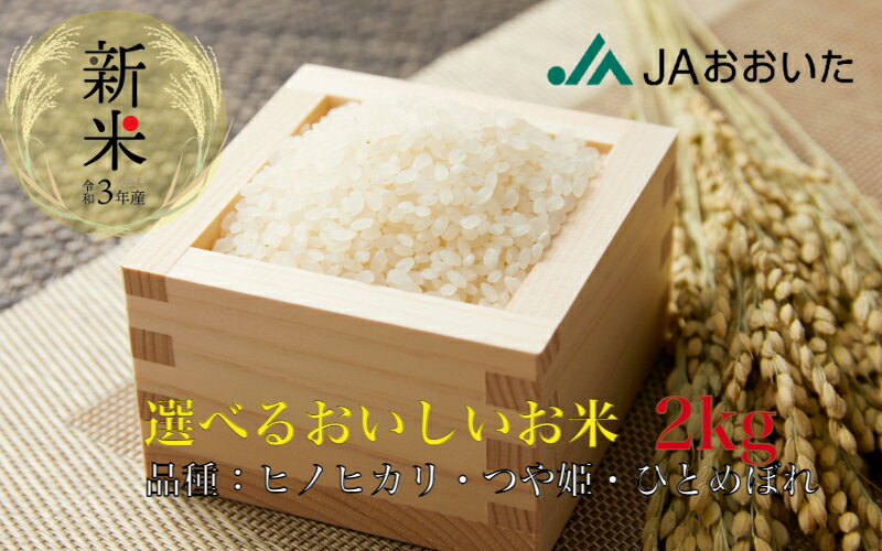 【ふるさと納税】大分県産米ひのひかり・つや姫・ひとめぼれから、選べるお試し用2kg！...