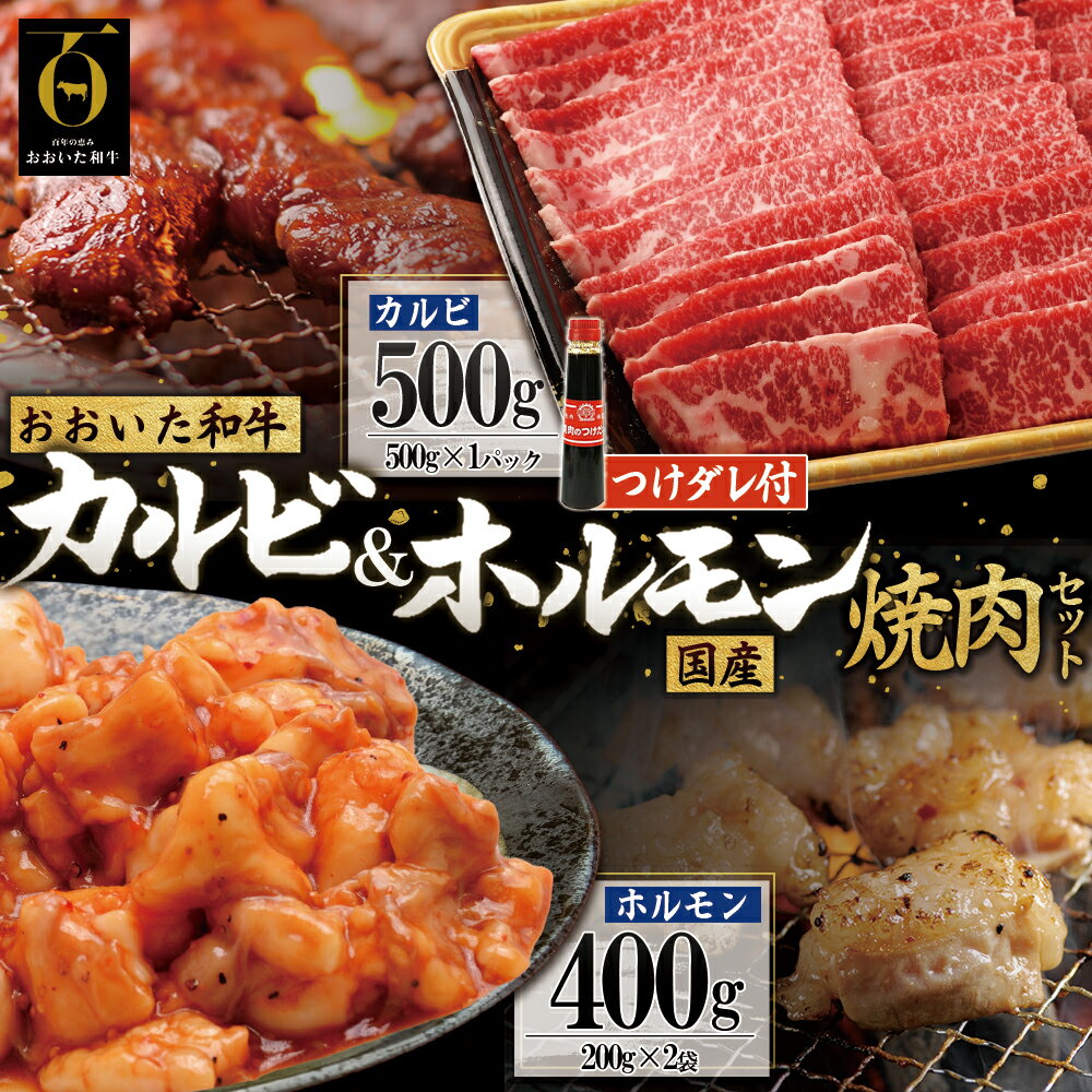 【ふるさと納税】おおいた 和牛 カルビ & 国産 ホルモン 焼肉 セット 【 合計 900g 】つけダレ 付 肉 お肉 牛肉 セット 九州産 大分県産 姫島村 G3