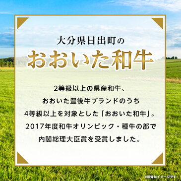 【ふるさと納税】おおいた和牛3種盛(カルビ・ロース・赤身)(合計750g)【1089360】