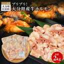 【ふるさと納税】プリプリ!大分県...