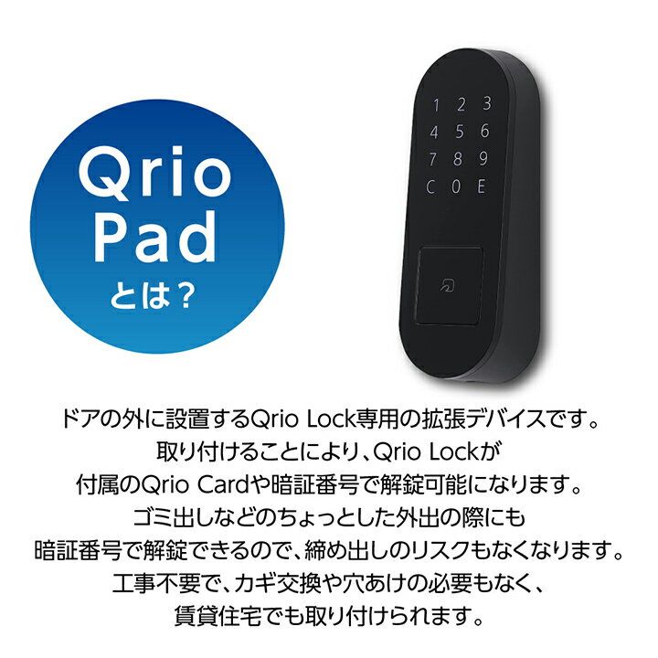 【ふるさと納税】Qrio Pad ブラック 暮らしをスマートにする生活家電【1305390】