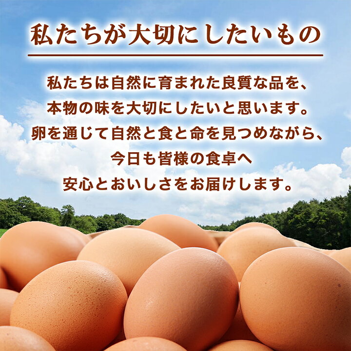 【ふるさと納税】 蘭王たまご 10個入り 6パック ギフト箱でお届け _ 卵 たまご 玉子 タマゴ 鶏卵 まとめ買い オムレツ 卵かけご飯 朝食 料理 人気 美味しい 【1322802】