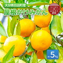 【ふるさと納税】【1月より発送】屋根かけみかん 約5kg(ダンボール箱入り)【1106336】