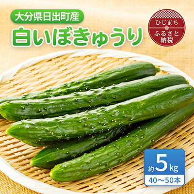 その他野菜(その他)人気ランク6位　口コミ数「3件」評価「5」「【ふるさと納税】大分県日出町産「白いぼきゅうり」5kg(40～50本入り)【1304915】」