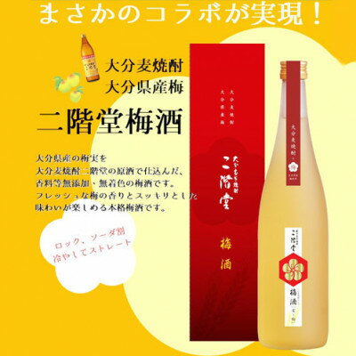 【ふるさと納税】【数量限定】二階堂 梅酒 (化粧箱入り) AG42【1291923】