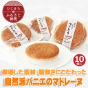 【ふるさと納税】自然派パニエのマドレーヌ(10個入り)【配送不可地域:離島】【1095662】