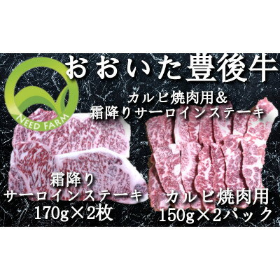 おおいた豊後牛 カルビ焼肉用&霜降りサーロインステーキ[配送不可地域:離島]