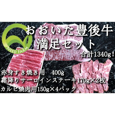 41位! 口コミ数「0件」評価「0」おおいた豊後牛 満足セット(カルビ焼肉・赤身すき焼き・サーロインステーキ)【配送不可地域：離島】【1395462】