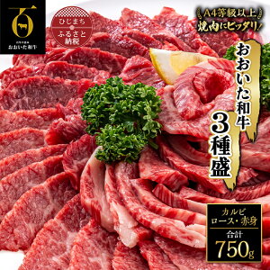 【ふるさと納税】おおいた和牛 牛肉 3種盛 ( カルビ ・ ロース ・ 赤身 ) 計750g (25...