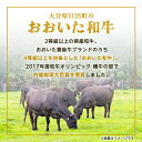 【ふるさと納税】おおいた和牛 焼肉 にピッタリ! 牛肉 の3種盛( カルビ ・ ロース ・ 赤身 )(合計750g) _ 肉 お肉 焼き肉 焼肉 食べ比べ 黒毛和牛 和牛 ギフト プレゼント 高級 バーベキュー BBQ【配送不可地域：離島】【1089360】 3