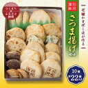 11位! 口コミ数「6件」評価「4.83」さつま揚げ(天ぷら)セット 10種/22個入り おかずやおつまみにおすすめ!【配送不可地域：離島】【1101581】