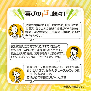 【ふるさと納税】【砂糖・食塩不使用】 おいしく野菜ジュース (190g×30本) _ 野菜ジュース 健康 野菜ドリンク ご当地ドリンク お取り寄せ 人気 美味しい ビタミン 栄養補給 【1104727】