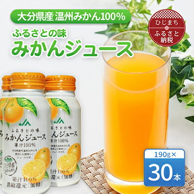 13位! 口コミ数「0件」評価「0」ふるさとの味　みかんジュース果汁100%(30本)【1223092】