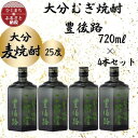 【ふるさと納税】大分むぎ焼酎 二階堂豊後路25度(720ml)4本セット【1455684】