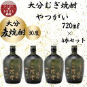 20位! 口コミ数「0件」評価「0」大分むぎ焼酎　二階堂やつがい30度(720ml)4本セット【1455703】