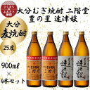 大分むぎ焼酎　二階堂2本と速津媛2本25度(900ml)4本セット