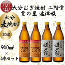 大分むぎ焼酎　二階堂2本と速津媛2本20度(900ml)4本セット