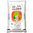 1位! 口コミ数「0件」評価「0」【先行予約】【令和6年産】大分のお米　大分県産こしひかり5kg×2(日出町)【1500337】