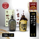 【ふるさと納税】【毎月定期便】二階堂吉四六つぼ25度とやつがい30度(720ml)2本セット 全12回【4009964】