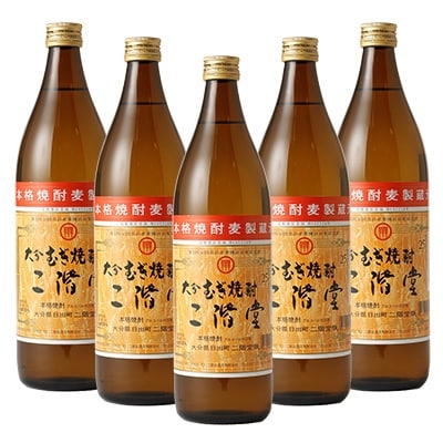 【ふるさと納税】大分むぎ焼酎二階堂25度(900ml)5本セ