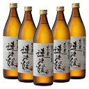 麦焼酎 【ふるさと納税】大分むぎ焼酎　二階堂速津媛25度(900ml)5本セット　RG37【1113241】