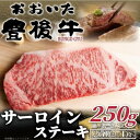【ふるさと納税】おおいた豊後牛サーロインステーキ 250g(250g×1枚)(日出町)【配送不可地域:離島】【1571521】