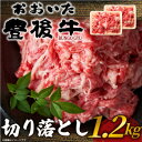 【ふるさと納税】おおいた豊後牛切り落とし 1.2kg(600g×2P)(日出町)【配送不可地域:離島】【1571550】