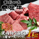 【ふるさと納税】おおいた豊後牛焼肉切り落とし 1kg(500g×2P)(日出町)【配送不可地域:離島】【1571737】