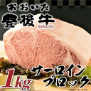 【ふるさと納税】【厳選部位】おおいた豊後牛サーロインブロック(1kg)(日出町)【配送不可地域:離島】【1571758】