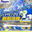 【ふるさと納税】大分トリニータ ホームゲームツアー&プレミアム観戦体験(1名)(日出町)【1613320】