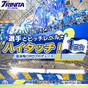 【ふるさと納税】選手とピッチレベルでハイタッチ!【松本怜CROプロデュース】(日出町)【1613336】