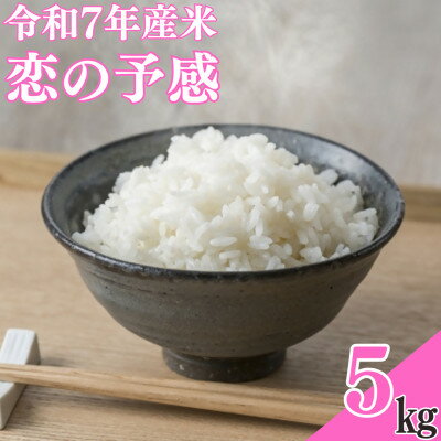【ふるさと納税】【令和7年産米】恋の予感5kg【1623583】 【ふるさと納税】【令和7年産米】恋の予感5kg【1623583】