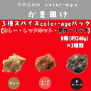 【ふるさと納税】彩りからあげ 3種スパイスcolor-ageパック(カレー・レッドホット・黒ガーリック)【配送不可地域:離島】【1649522】