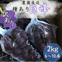 【ふるさと納税】【訳あり】巨峰(種あり) 約2kg(6〜10房)【配送不可地域:離島】【1650294】