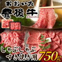 【ふるさと納税】【毎月定期便】訳あり!おおいた豊後牛しゃぶしゃぶすき焼き750gセット(日出町)全6回【配送不可地域:離島】【4073926】