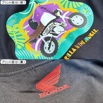 【ふるさと納税】GORILLA-Jungle Tシャツ (ユニセックス)【Mサイズ　ブラック】【1656621】