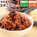 【ふるさと納税】【選べる容量】【常温】レンジ対応!3日寝かせ 発芽 酵素 玄米ごはん ひとめぼれ 1食(125g) 10食分 / 20食分 定期便 3回 / 6回 / 12回 玄米 うるち米 熟成 大分県産 九重町産 送料無料