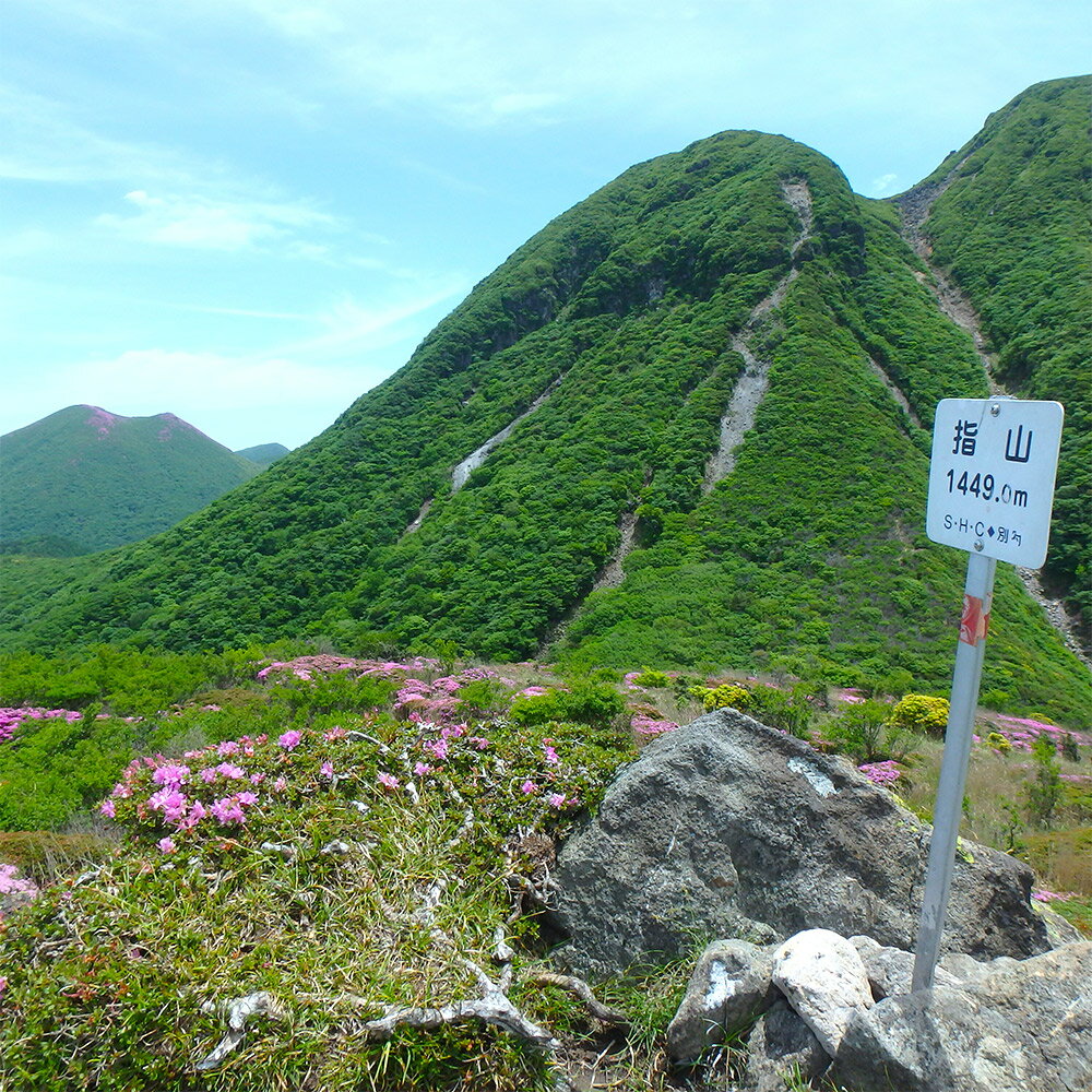 【ふるさと納税】 ガイドと楽しむタデ原(たでわら) 湿原から指山 登山 散策 チケット 1枚（6名様まで） 4時間コース 四季 景色 散策 湧..