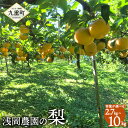 【ふるさと納税】浅岡農園の梨 〈容量が選べる〉約2.7kg 約5kg 約10kg 梨 豊水 秋月 新高 甘太 国産 大分県産 九重町産 フルーツ 果物 くだもの 果実 冷蔵 送料無料 【2025年9月上旬-11月上旬発送予定】 楽天スーパーSALE 9月開催