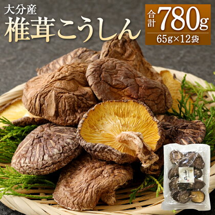 大分産 椎茸 こうしん 合計780g 65g×12袋 しいたけ きのこ キノコ 茸 春 国産 九州産 大分県産 送料無料