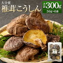 【ふるさと納税】大分産 椎茸 こうしん 合計300g 50g×6袋 しいたけ きのこ キノコ 茸 春 国産 九州産 大分県産 送料無料