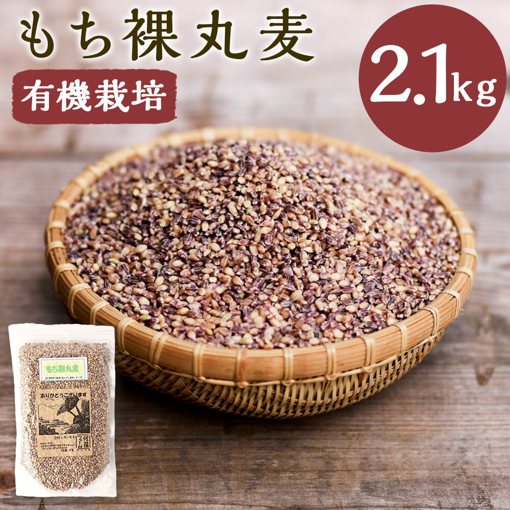 さとうファームのもち裸丸麦 2.1kg 700g×3袋 麦 玄米 お米 米 国産 九州 大分県 九重町 送料無料