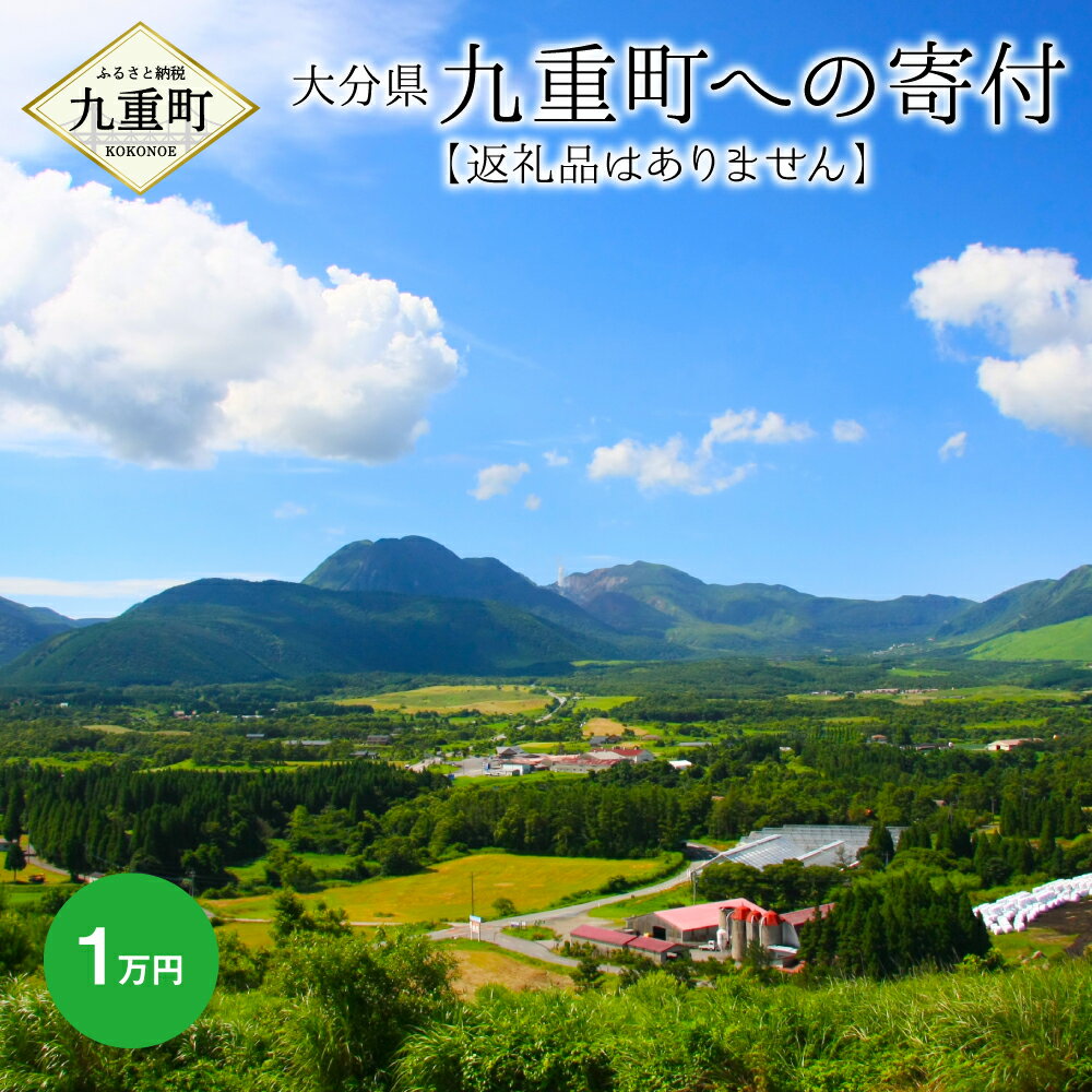 5位! 口コミ数「0件」評価「0」九重町への寄付（返礼品はありません） 寄付 1万円