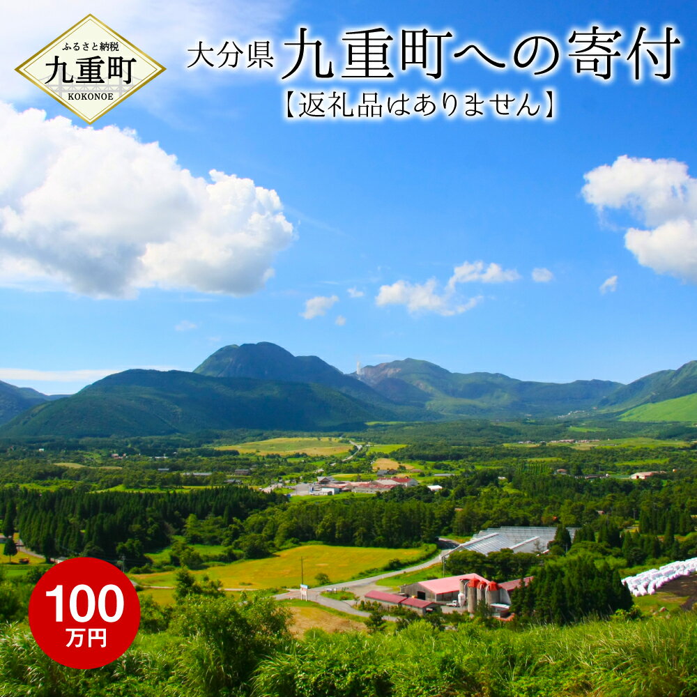 九重町への寄付(返礼品はありません) 寄付 100万円